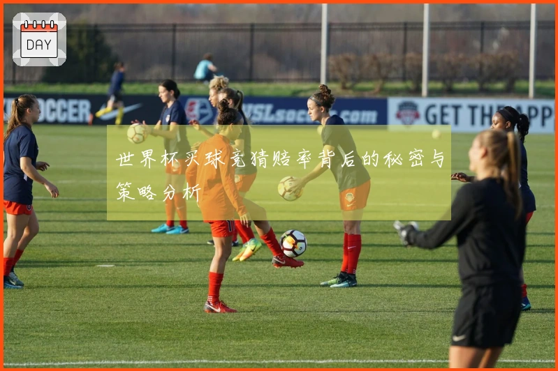 世界杯买球竞猜赔率背后的秘密与策略分析