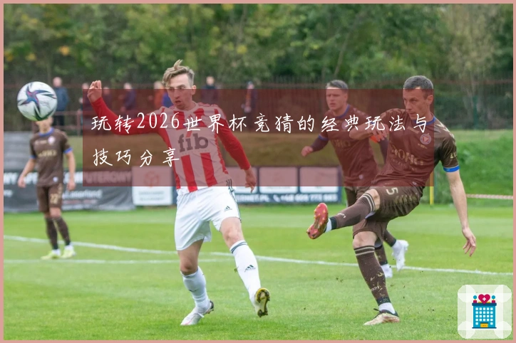 玩转2026世界杯竞猜的经典玩法与技巧分享