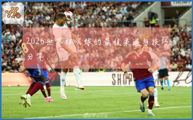2026世界杯买球的最佳渠道与技巧分享