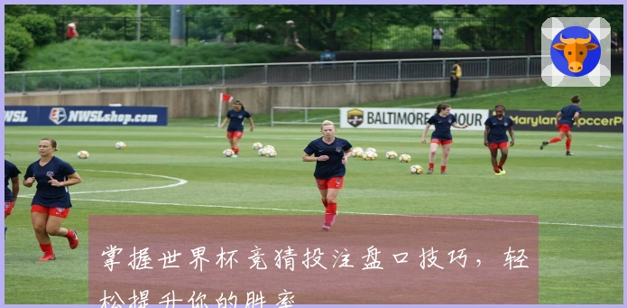 掌握世界杯竞猜投注盘口技巧，轻松提升你的胜率