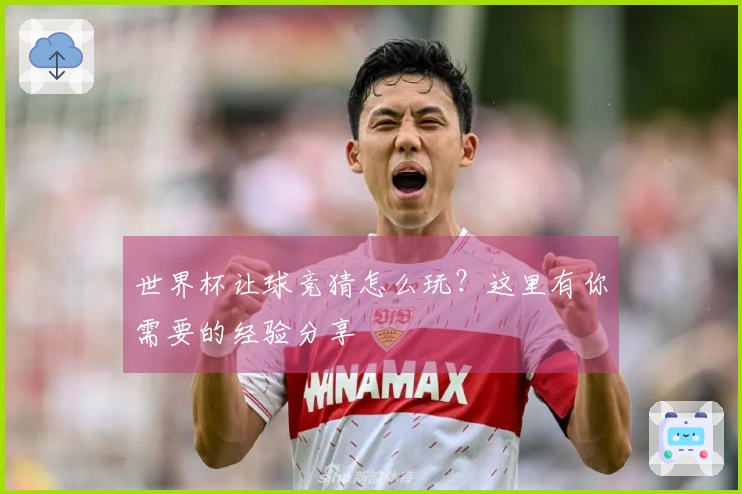 世界杯让球竞猜怎么玩？这里有你需要的经验分享
