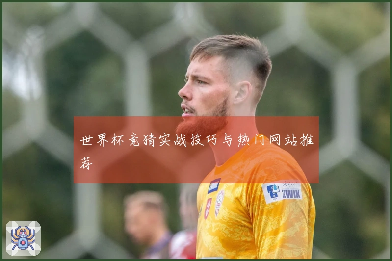 世界杯竞猜实战技巧与热门网站推荐