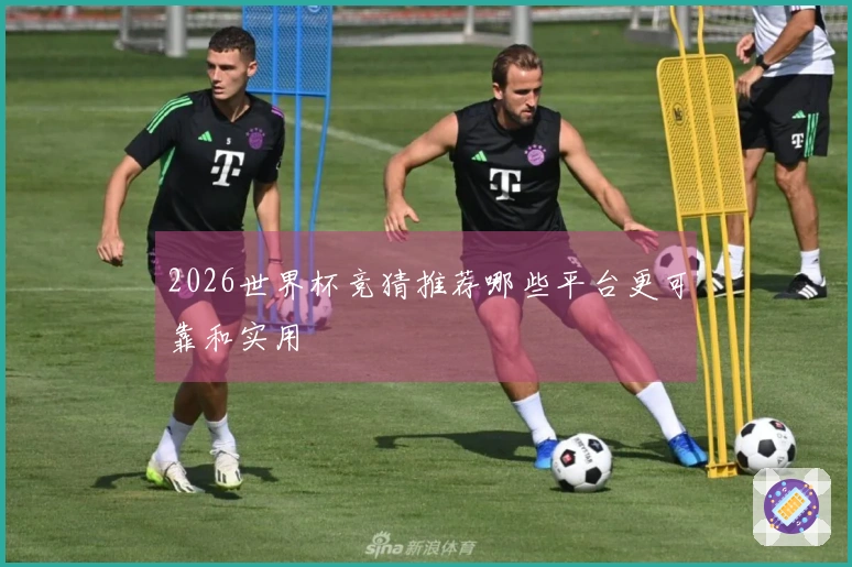 2026世界杯竞猜推荐哪些平台更可靠和实用
