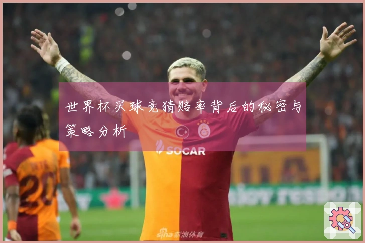 世界杯买球竞猜赔率背后的秘密与策略分析