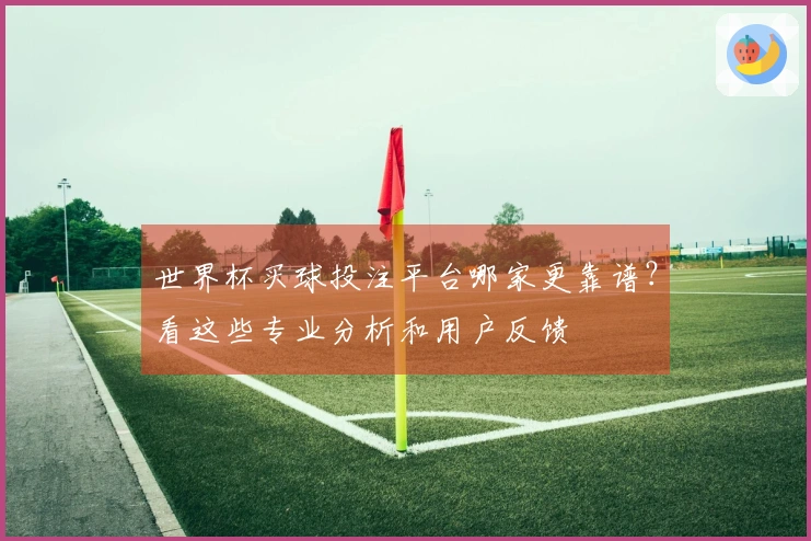 世界杯买球投注平台哪家更靠谱？看这些专业分析和用户反馈