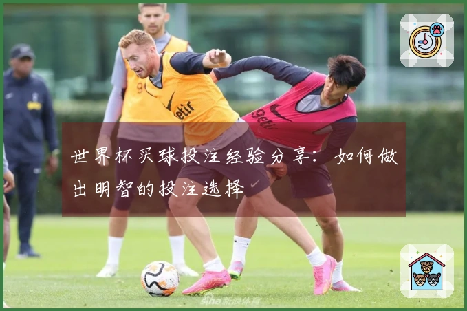 世界杯买球投注经验分享：如何做出明智的投注选择