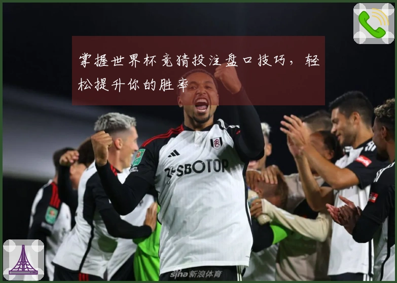 掌握世界杯竞猜投注盘口技巧，轻松提升你的胜率