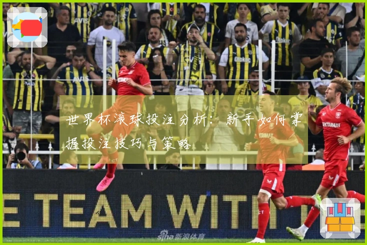 世界杯滚球投注分析：新手如何掌握投注技巧与策略