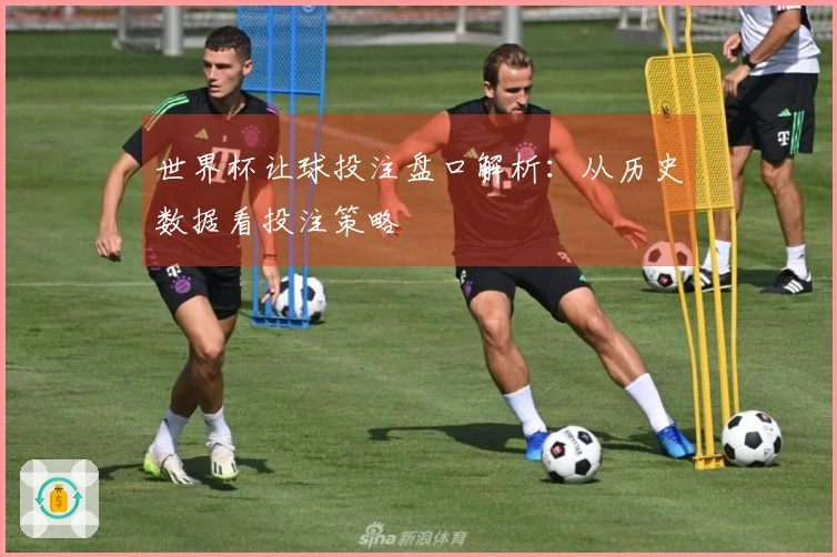 世界杯让球投注盘口解析：从历史数据看投注策略